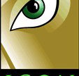 Icon Eyewear